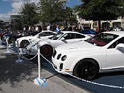 2010 Cars for the Cure 071